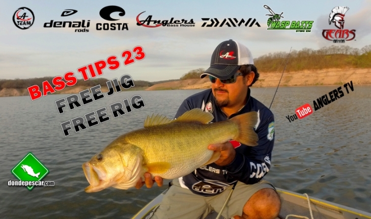 BASS TIPS FREE JIG.jpg